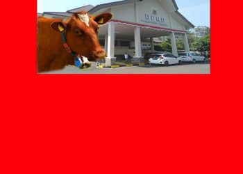 Cepot Desak Aparat Usut Dugaan Kasus Korupsi Hibah Sapi yang Libatkan Wakil Rakyat