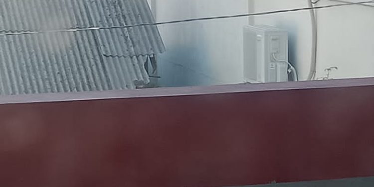 Bikin Heboh, Dua Monyet Berkeliaran di Atap Bangunan Kecamatan