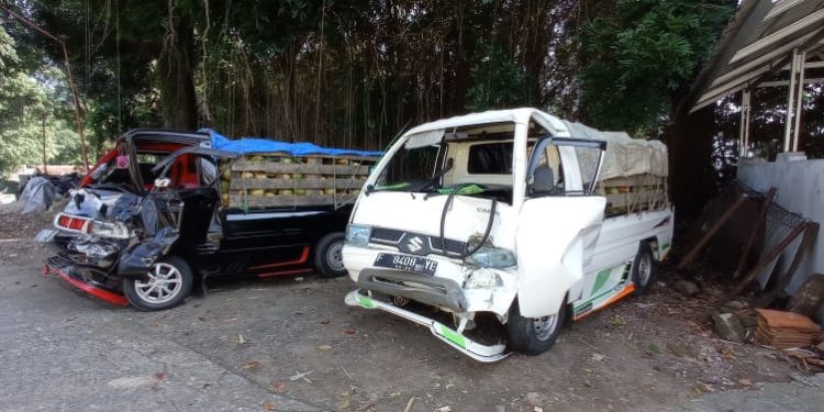 Tabrakan Beruntun, Tiga Pick Up Ringsek dan Sopir Luka-luka