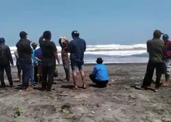 Mandi Saat Kondisi Gelombang Laut Tinggi, Satu Orang Tenggelam di Pantai Cieurih