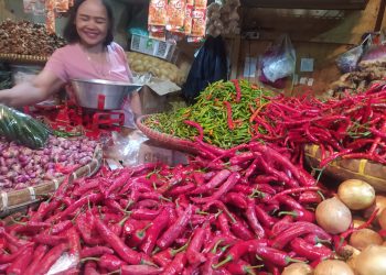 Harga Cabai Naik Mencapai 100 Ribu Per Kilo