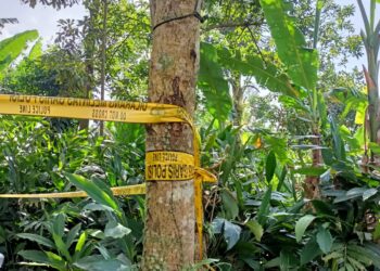 Geger, Diduga Frustasi Melajang Seorang Pria di Cugenang Nekat Gandir