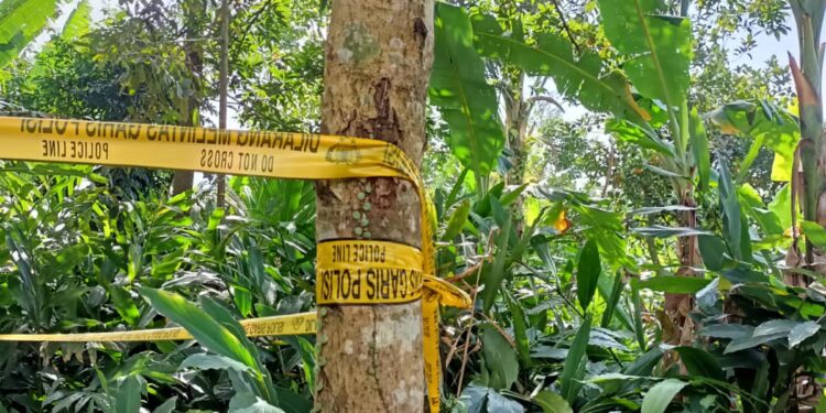 Geger, Diduga Frustasi Melajang Seorang Pria di Cugenang Nekat Gandir
