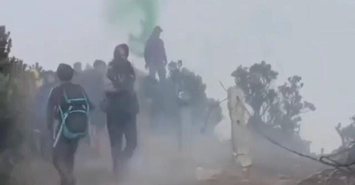 TNGGP Sebut Kantongi Identitas Pendaki Nyalakan Smoke Bomb di Gunung Gede