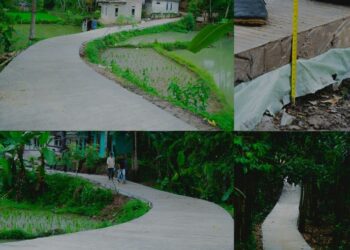 DPKP Cianjur Capai Target 80 Kilometer Bangun Jalan Lingkungan dan Setapak