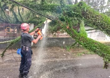 Satu Mobil di Jalan Arief Rahman Hakim Tertimpa Pohon Roboh