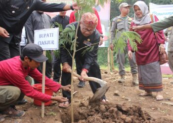 Tanam Pohon Sebanyak 346 di Lokasi Terdampak Gempa, Bupati : Satu Rumah Satu Pohon