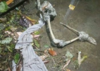 Geger, Warga Cibanteng Temukan Mayat Perempuan Diduga Penganut Ilmu Rawa Rontek