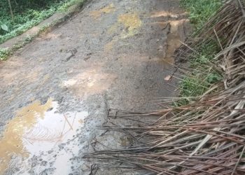 Bertahun-tahun Tak Tersentuh Perbaikan, Jalan Desa di Cianjur Rusak Parah