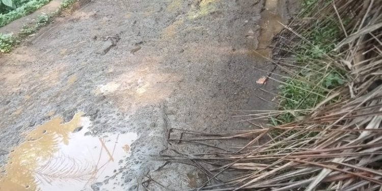 Bertahun-tahun Tak Tersentuh Perbaikan, Jalan Desa di Cianjur Rusak Parah