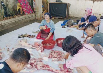 PWI Cianjur Sembelih Hewan Kurban, Berbagi di Idul Adha