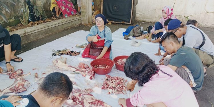 PWI Cianjur Sembelih Hewan Kurban, Berbagi di Idul Adha
