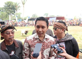 Bagong Mogok Kontes Domba Garut, Peserta Melonjak