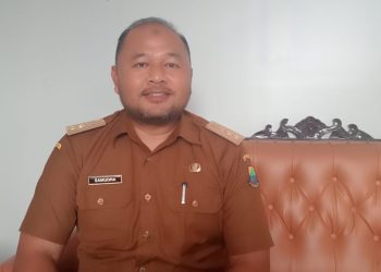 Sarang Burung Walet Pajak Terkecil Sumbang PAD