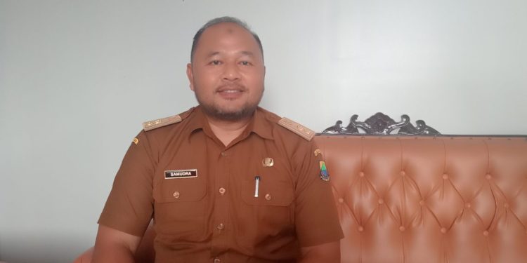 Sarang Burung Walet Pajak Terkecil Sumbang PAD