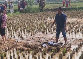 Entah Punya Beban Apa?, Seorang Laki-laki di Mande Loncat Dari Tower