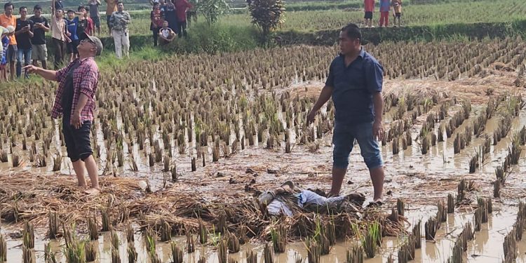 Entah Punya Beban Apa?, Seorang Laki-laki di Mande Loncat Dari Tower