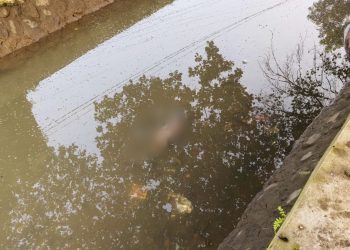 Misteri Bayi di Irigasi Sindangjaya Ciranjang, Milik Siapa?