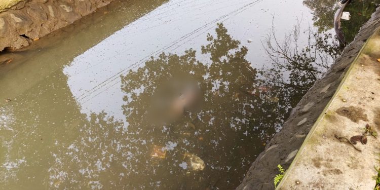 Misteri Bayi di Irigasi Sindangjaya Ciranjang, Milik Siapa?