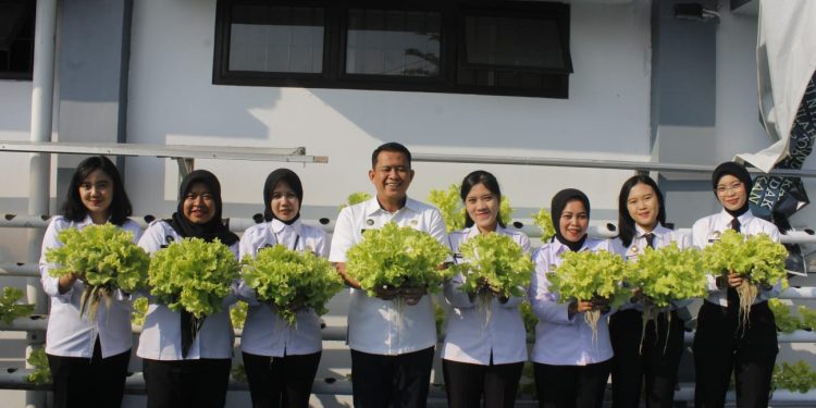 Lapas Cianjur Panen Selada, Manfaatkan Media Tanam Hidroponik
