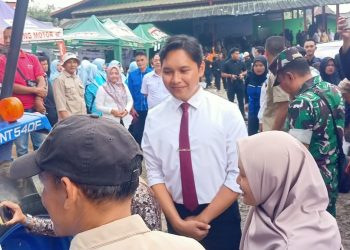 Sosialisasi Minim Dinilai Jadi Penyebab Pupuk Subsidi Tak Merata