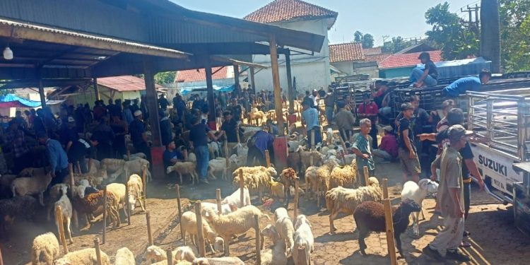Omzet Pedagang Kambing di Pasar Domba Turun Drastis, Pasar Hewan Ilegal Jadi Penyebab