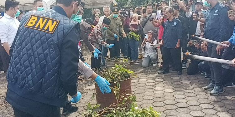 BNNK Cianjur Musnahkan Narkotika Jenis Etanol