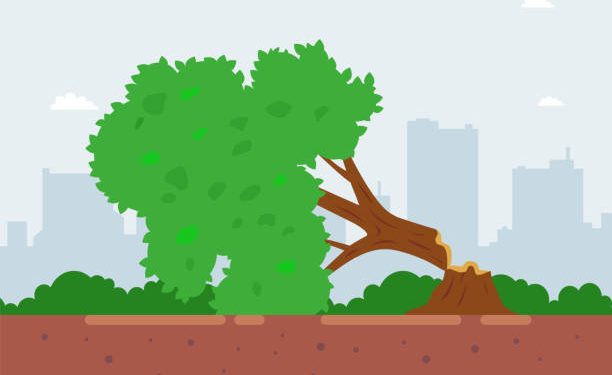 PUTR Cianjur Giatkan Penebangan Pohon Berpotensi Bahayakan Warga