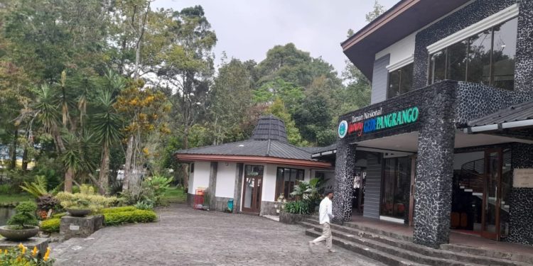 32 Pendaki Ilegal Terjaring, Jalur Pendakian Gunung Gede–Pangrango Masih Ditutup Total