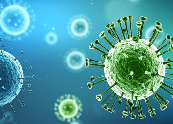 Dinkes Cianjur Imbau Waspadai Virus Nipah