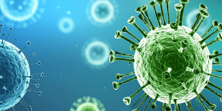 Dinkes Cianjur Imbau Waspadai Virus Nipah