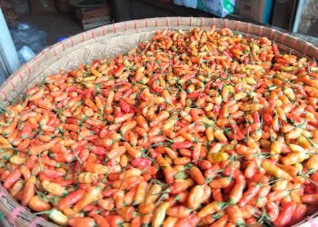 Kenaikan Harga Komoditas Jelang Ramadan di Cianjur, Cabai Rawit Sedikit Turun tapi Lainnya Melambung