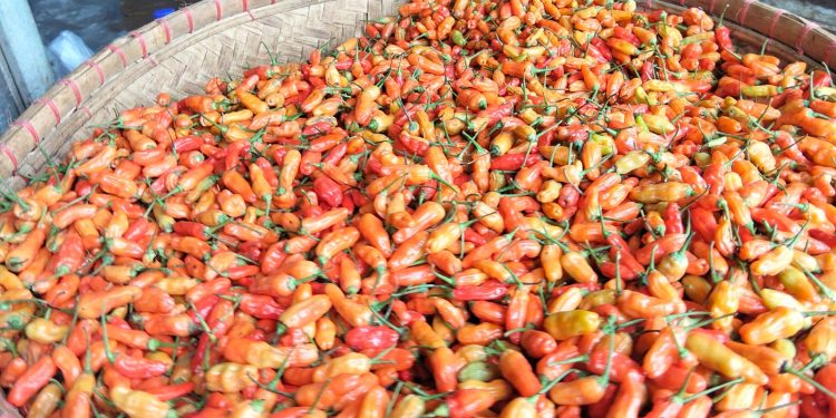 Kenaikan Harga Komoditas Jelang Ramadan di Cianjur, Cabai Rawit Sedikit Turun tapi Lainnya Melambung