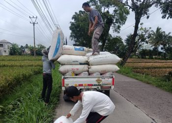 Target Penyerapan Gabah & Beras BULOG Cianjur Naik 28 Persen, Dukung Swasembada Pangan Nasional