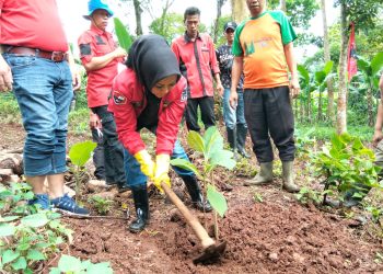 Peduli Lingkungan, DPC PDIP Cianjur Tanam 4.800 Bibit Pohon