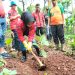 Peduli Lingkungan, DPC PDIP Cianjur Tanam 4.800 Bibit Pohon