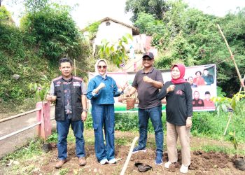 PDIP Cianjur Kembali Tanam Bibit Pohon