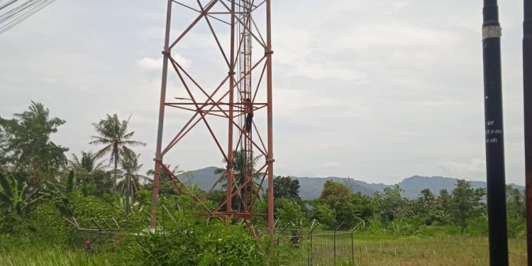 Pria Diduga Idap Gangguan Mental di Ciranjang Nekat Panjat Tower, Warga Heboh!