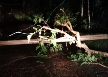 PLN Tangani Gangguan Listrik 3 Hari di Tanggeung
