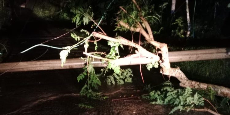 PLN Tangani Gangguan Listrik 3 Hari di Tanggeung