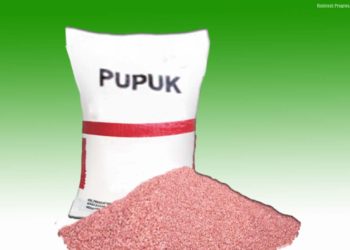 Jumlah Alokasi Pupuk Subsidi Cianjur di 2026 Bertambah