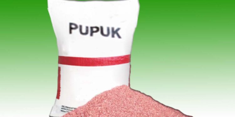 Jumlah Alokasi Pupuk Subsidi Cianjur di 2026 Bertambah