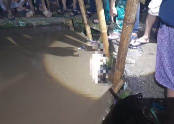 Mayat Tanpa Identitas Tersangkut di Irigasi Junghil Cikalongkulon, Diduga Hanyut Terbawa Arus Deras Pasca Hujan
