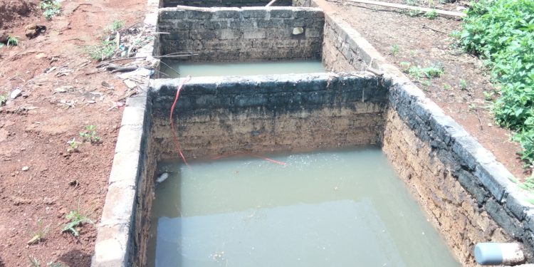 Air Sumur Warga Desa Kecamatan Cilaku Berubah Hitam Pekat, Diduga Pencemaran Limbah Proyek pemerintah