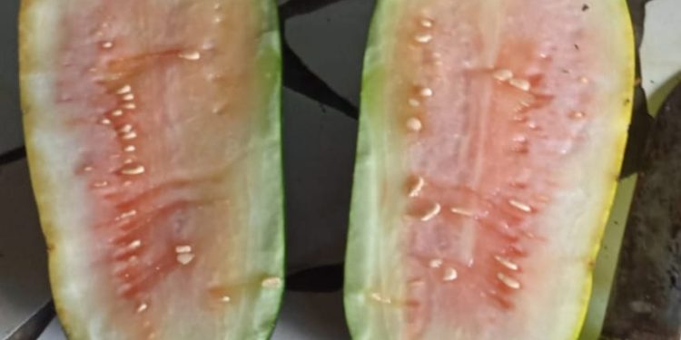 Program Kebal Hukum : MBG, Tak Henti Dikeluhkan Warga Cianjur