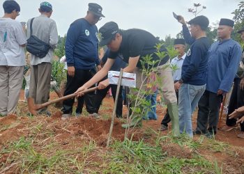 Cegah Bencana dan Bantu Ketahanan Pangan, Sepuluh Ribu Pohon di Campaka Ditanam Tiga Organisasi