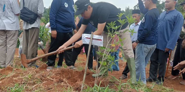 Cegah Bencana dan Bantu Ketahanan Pangan, Sepuluh Ribu Pohon di Campaka Ditanam Tiga Organisasi