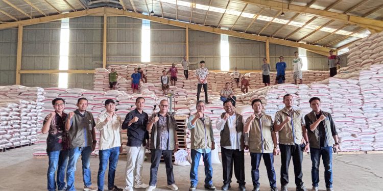 El Nino Bakal Melanda, Perum Bulog Cianjur Pastikan Kestabilan Pangan 