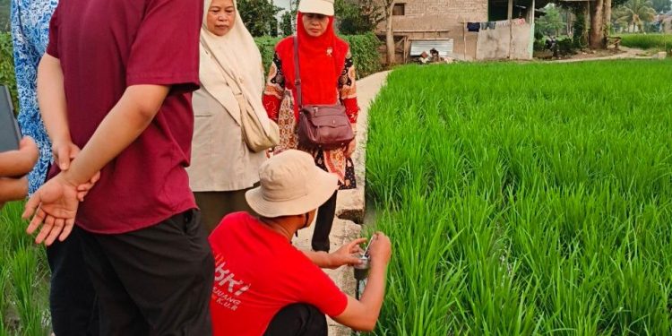 Dinas TPHP Cianjur Antisipasi Musim Kemarau