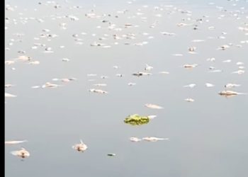 Upwelling Terjadi di Cianjur, Pemkab Ambil Langkah Ini!